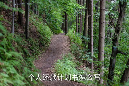 還款計劃書范本，還款計劃書怎么寫