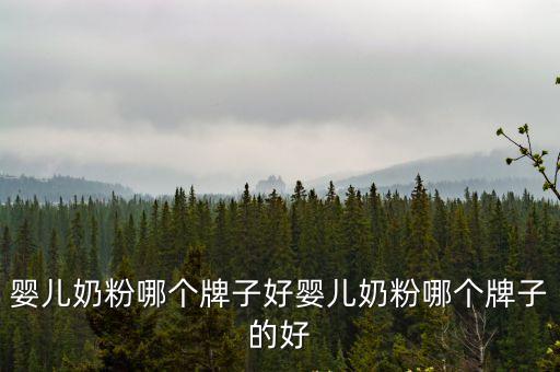 嬰兒奶粉哪個牌子好嬰兒奶粉哪個牌子的好