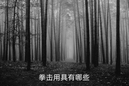 拳擊器材，哪里能買的到便宜拳擊用品