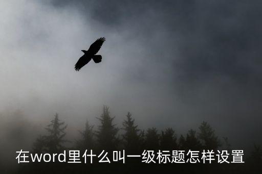 在word里什么叫一級標題怎樣設置