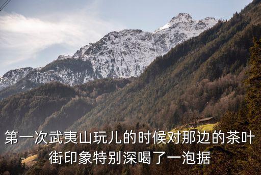 白芽奇蘭茶，白芽奇蘭產地在哪里