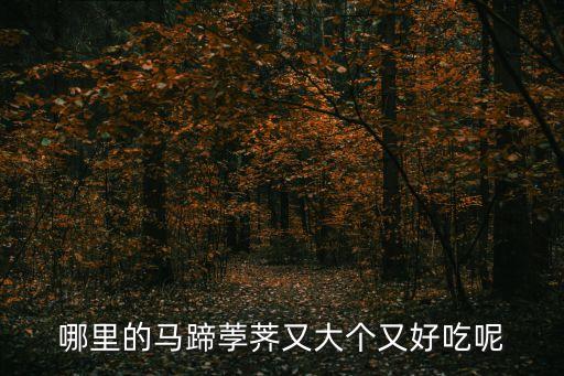 桂林馬蹄，桂林特產(chǎn)馬蹄哪里最多
