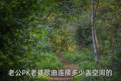 老公PK老婆歌曲連接多少丟空間的