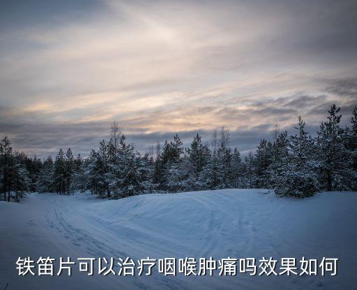 鐵笛片，鐵笛片服用的時(shí)候應(yīng)該注意哪些呢