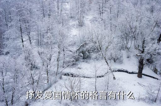 愛國情懷的名言，抒發愛國情懷的格言有什么
