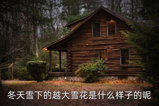 冬天雪下的越大雪花是什么樣子的呢
