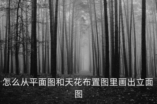 怎么從平面圖和天花布置圖里畫出立面圖