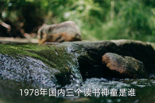 于政，1978年國內三個讀書神童是誰