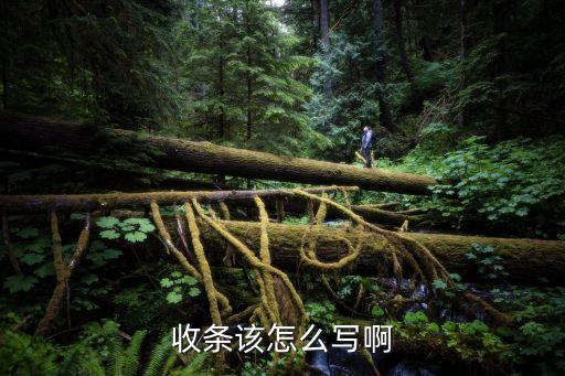 收到條模板，收條格式是怎樣的