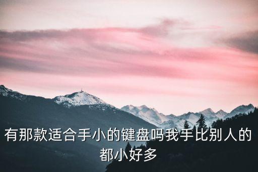 迷你鍵盤，有沒有小型鍵盤