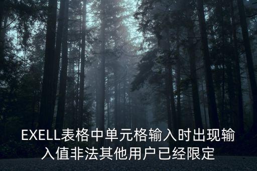 EXELL表格中單元格輸入時(shí)出現(xiàn)輸入值非法其他用戶(hù)已經(jīng)限定