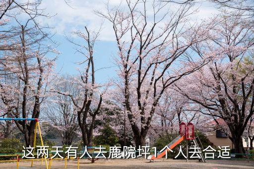 恩施鹿院坪，這兩天有人去鹿院坪1個人去合適