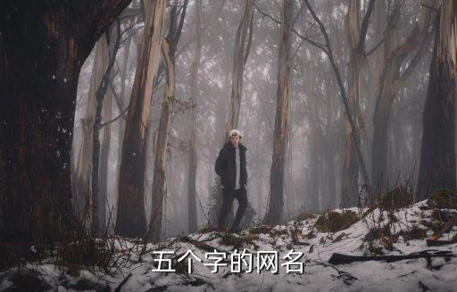 五個字網名，五個字的網名