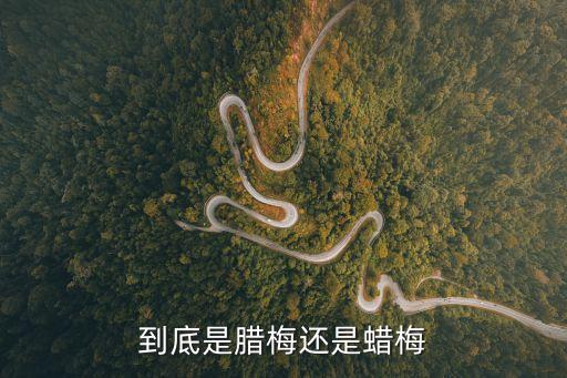 臘梅還是蠟梅，臘梅還是蠟梅到底哪個是對的