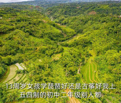 13周歲女孩學琵琶好還是古箏好我上五四制的初中二年級別人都