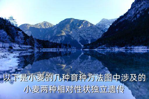 小麥怎么種，怎么小麥種子與復合肥混合下種怎么發牙慢