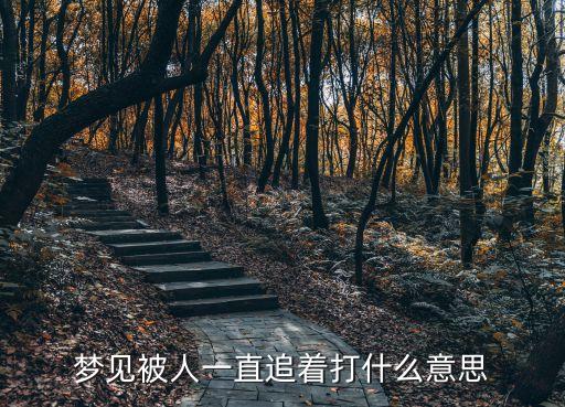 夢見被別人追打，周公解夢被追打