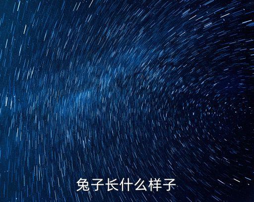 兔子的樣子，兔子長什么樣子