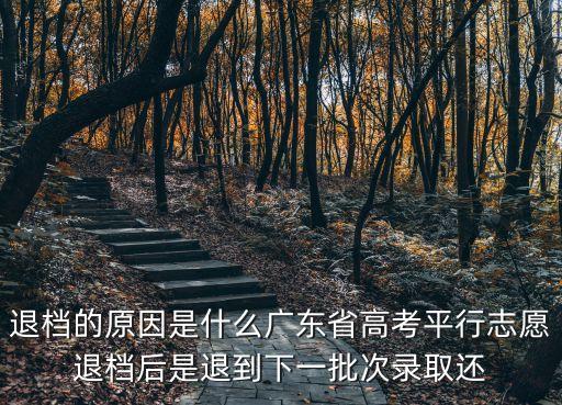 退檔的原因是什么廣東省高考平行志愿退檔后是退到下一批次錄取還