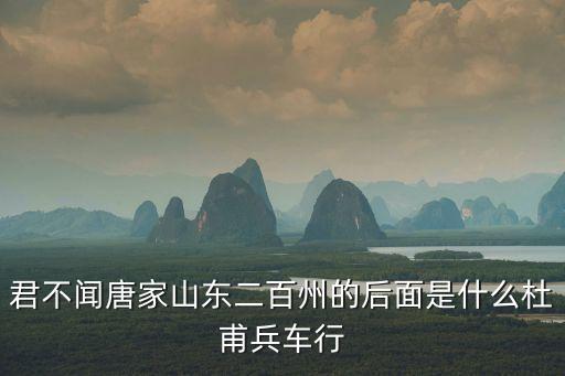君不聞唐家山東二百州的后面是什么杜甫兵車行