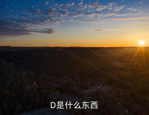 字母d，D代表什么意思