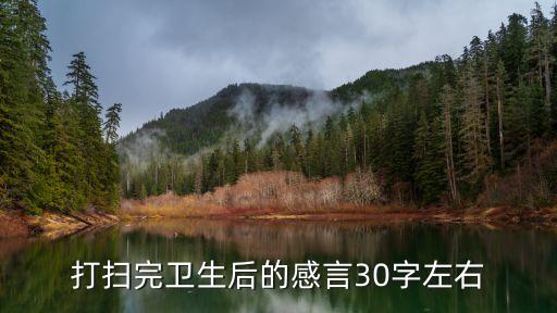 打掃衛生感悟，打掃完衛生后的感言30字左右