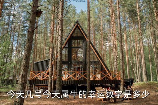 屬牛的幸運數(shù)字，屬牛的今年幸運數(shù)字是多少啊