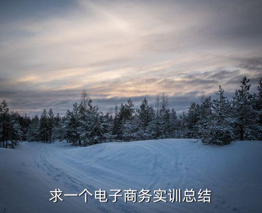 電子商務(wù)實訓(xùn)總結(jié)，求一個電子商務(wù)實訓(xùn)總結(jié)