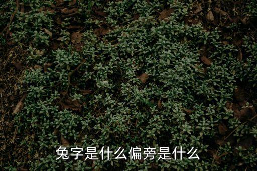兔字，兔的繁體字怎么寫