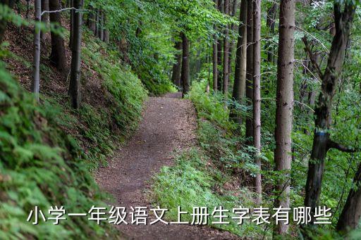 一年級語文生字表，小學一年級語文上冊生字表有哪些