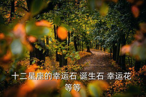 十二星座專屬寶石，12星座代表的寶石