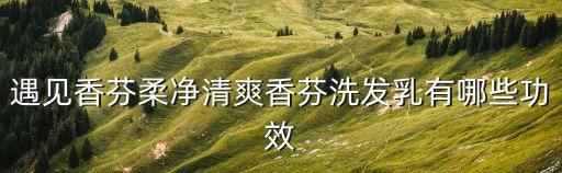 遇見香芬柔凈清爽香芬洗發乳有哪些功效