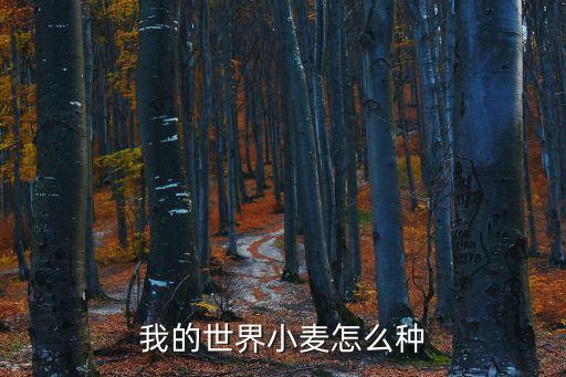 我的世界小麥怎么種
