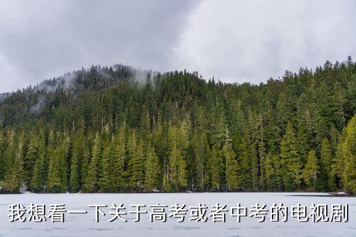 我想看一下關于高考或者中考的電視劇