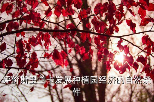 種植園經濟，評價斯里蘭卡發展種植園經濟的自然條件