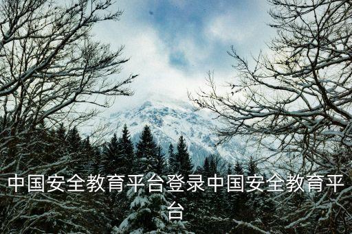安全教育平臺登錄，怎么登錄安全教育平臺