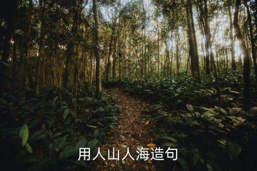 用人山人海造句