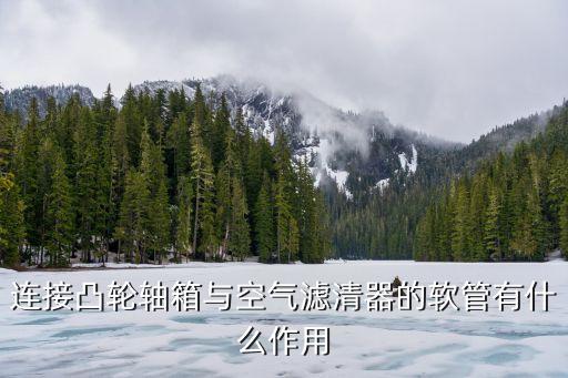 凸輪親管，連接凸輪軸箱與空氣濾清器的軟管有什么作用