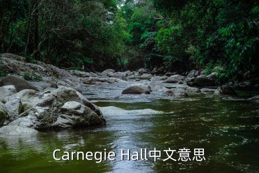 卡耐基音樂廳，最著名的音樂廳是什么