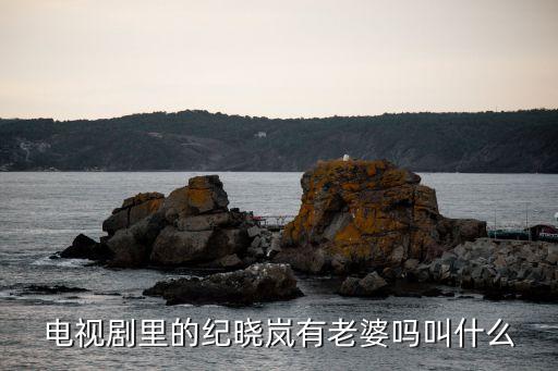 紀曉嵐老婆，電視劇里的紀曉嵐有老婆嗎叫什么