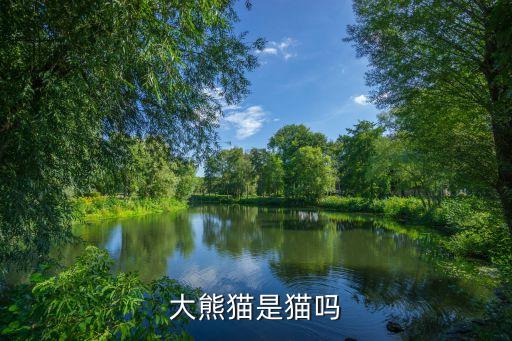 熊貓是貓科動物嗎，大熊貓是貓嗎