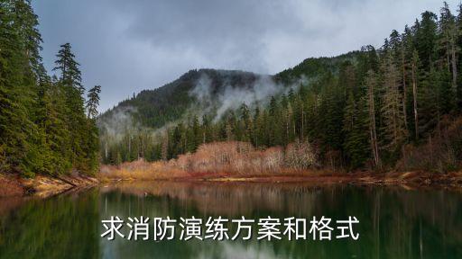 消防演練預(yù)案，求小區(qū)消防演習(xí)方案