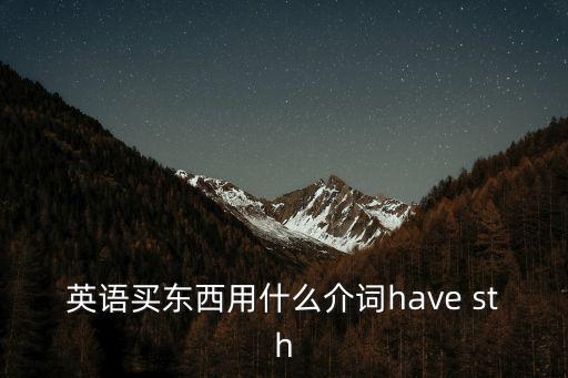 英語買東西用什么介詞have sth