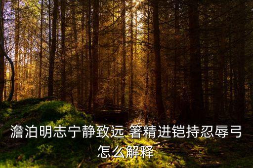 澹泊明志寧靜致遠 箸精進鎧持忍辱弓怎么解釋