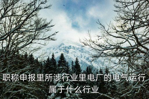 職稱申報里所涉行業里電廠的電氣運行屬于什么行業