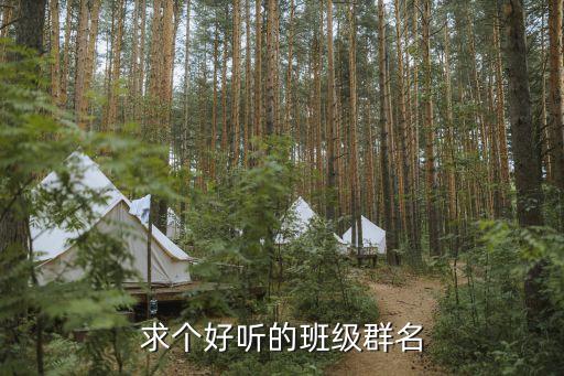 求個(gè)好聽(tīng)的班級(jí)群名