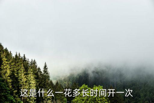 這是什么一花多長時間開一次