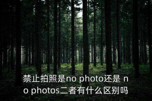 禁止拍照是no photo還是 no photos二者有什么區(qū)別嗎