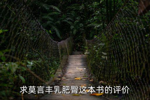 求莫言豐乳肥臀這本書的評價