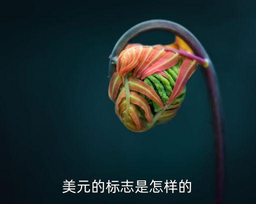 美元的標(biāo)志，美元的標(biāo)志是一個(gè)S加一豎還是加兩豎